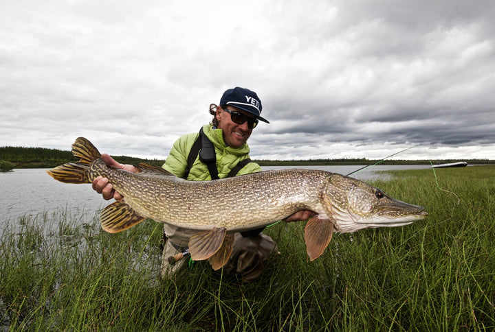 T&T Exocett Predator 9'4" 350-500 grain 4-pc