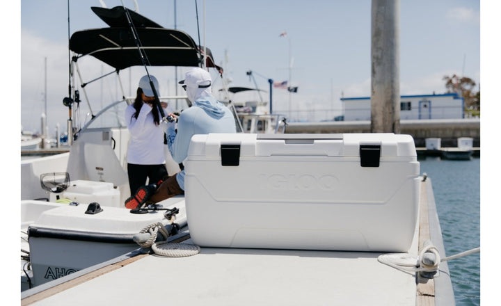 MAXCOLD 165 (156 LITERS) COOL BOX