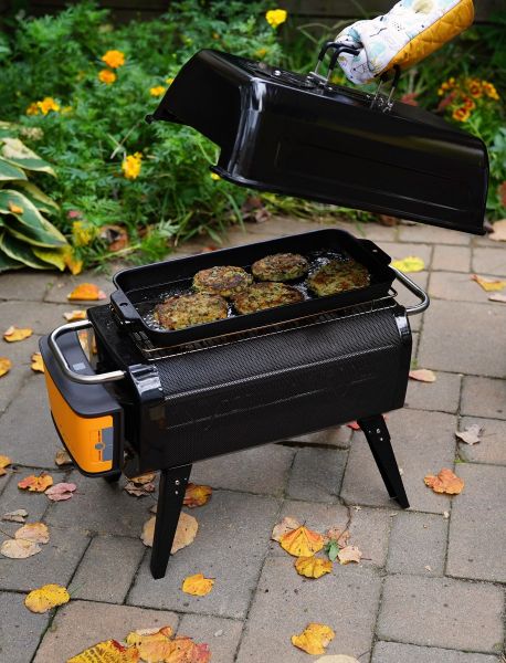 BioLite FirePit Grill