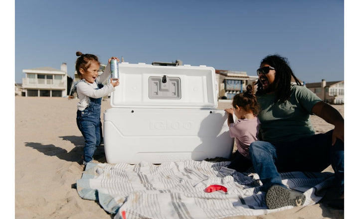 MAXCOLD 165 (156 LITERS) COOL BOX