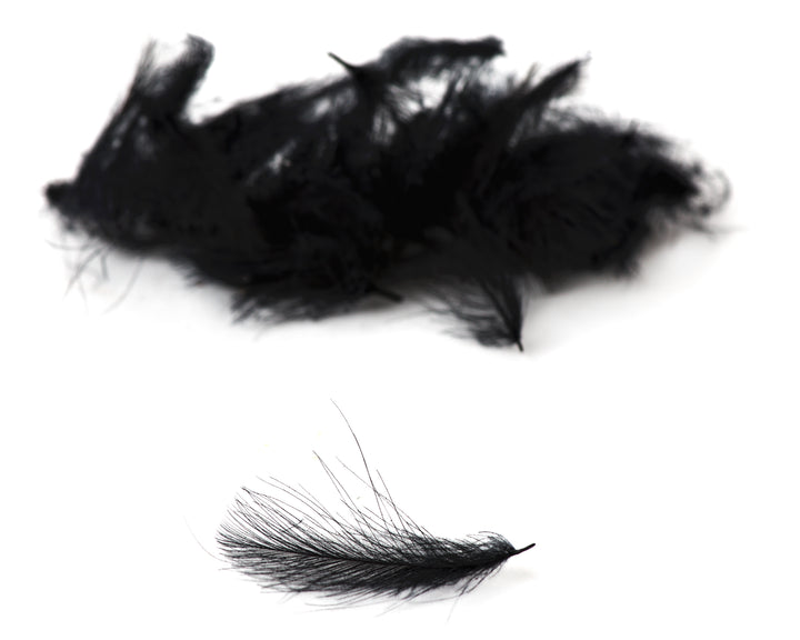 Handverlesenes Premium CDC