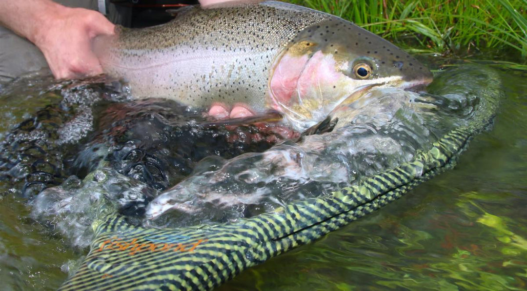 Fishpond Nomad El Jefe Net - River Armor