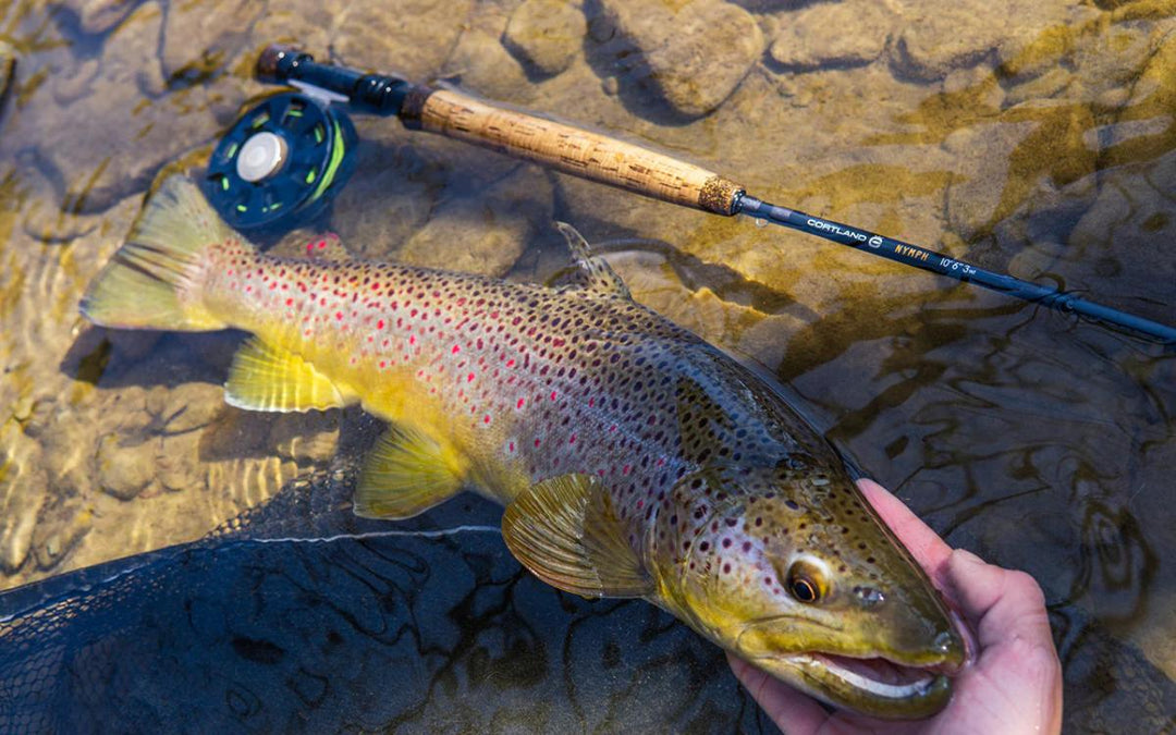 Cortland Nymph Series Fly Rod 4pc