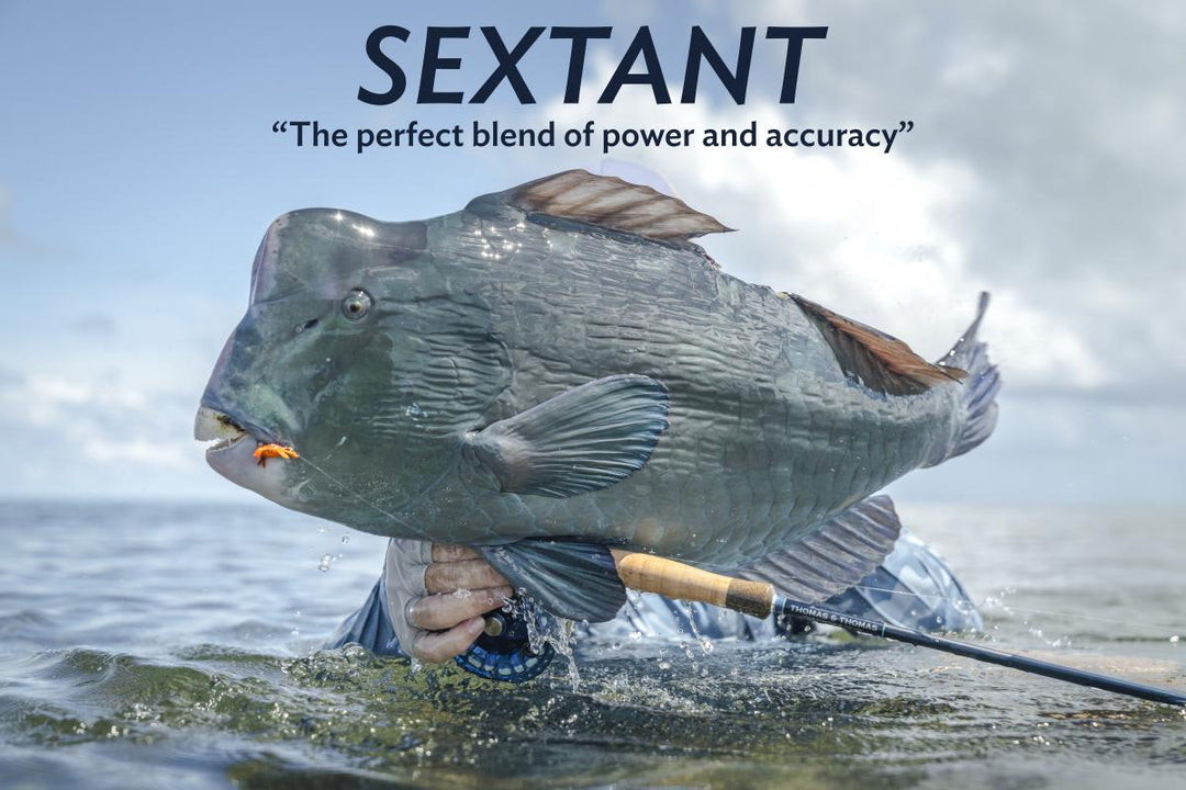 Thomas & Thomas Sextant Fly Rod - Titanium Guides