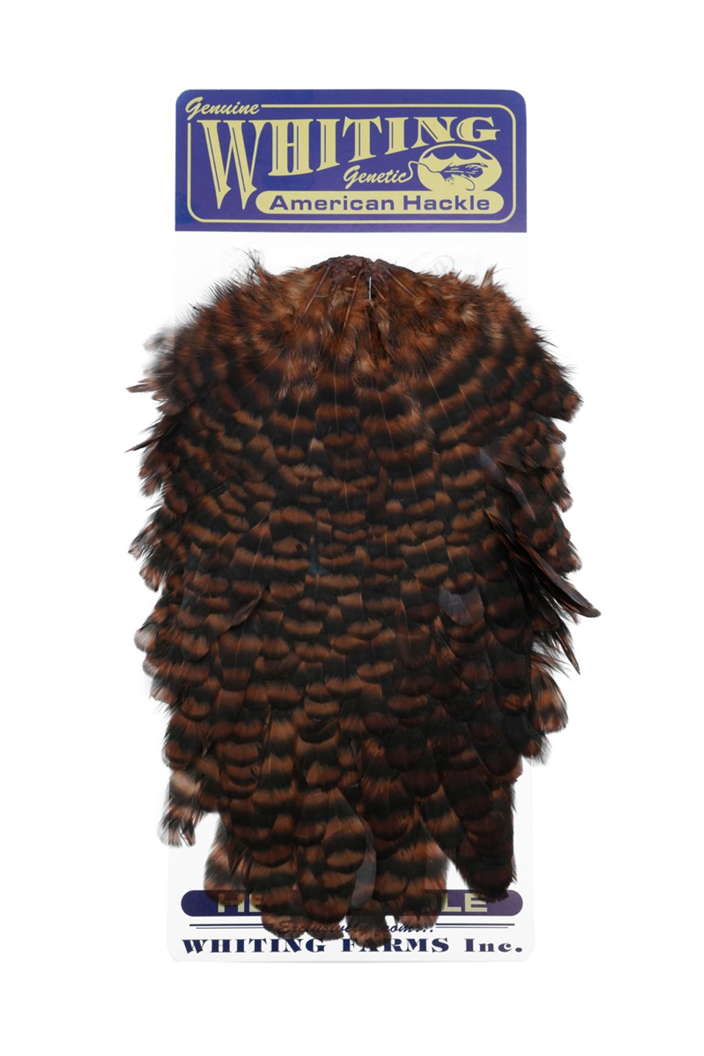 Whiting - American Hen Saddle