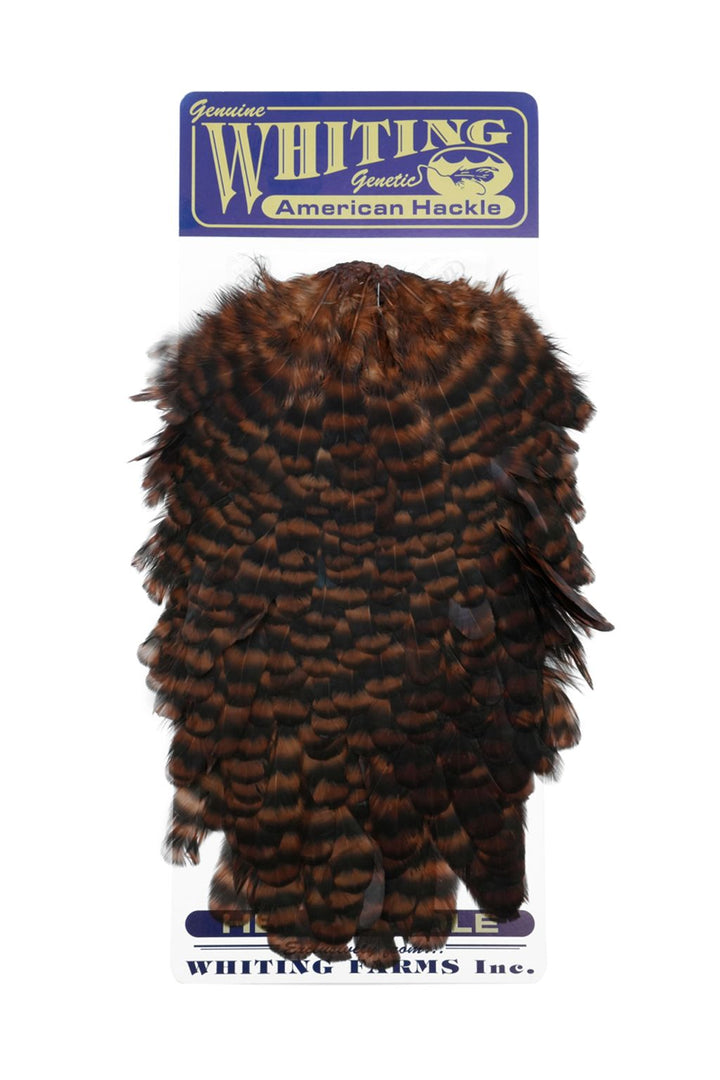 Whiting - American Hen Saddle