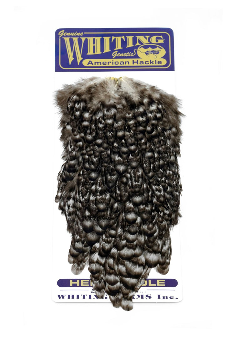 Whiting - American Hen Saddle