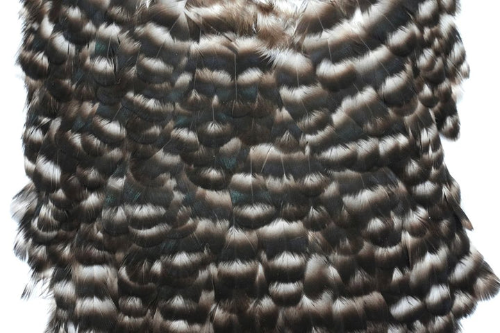 Whiting - American Hen Saddle