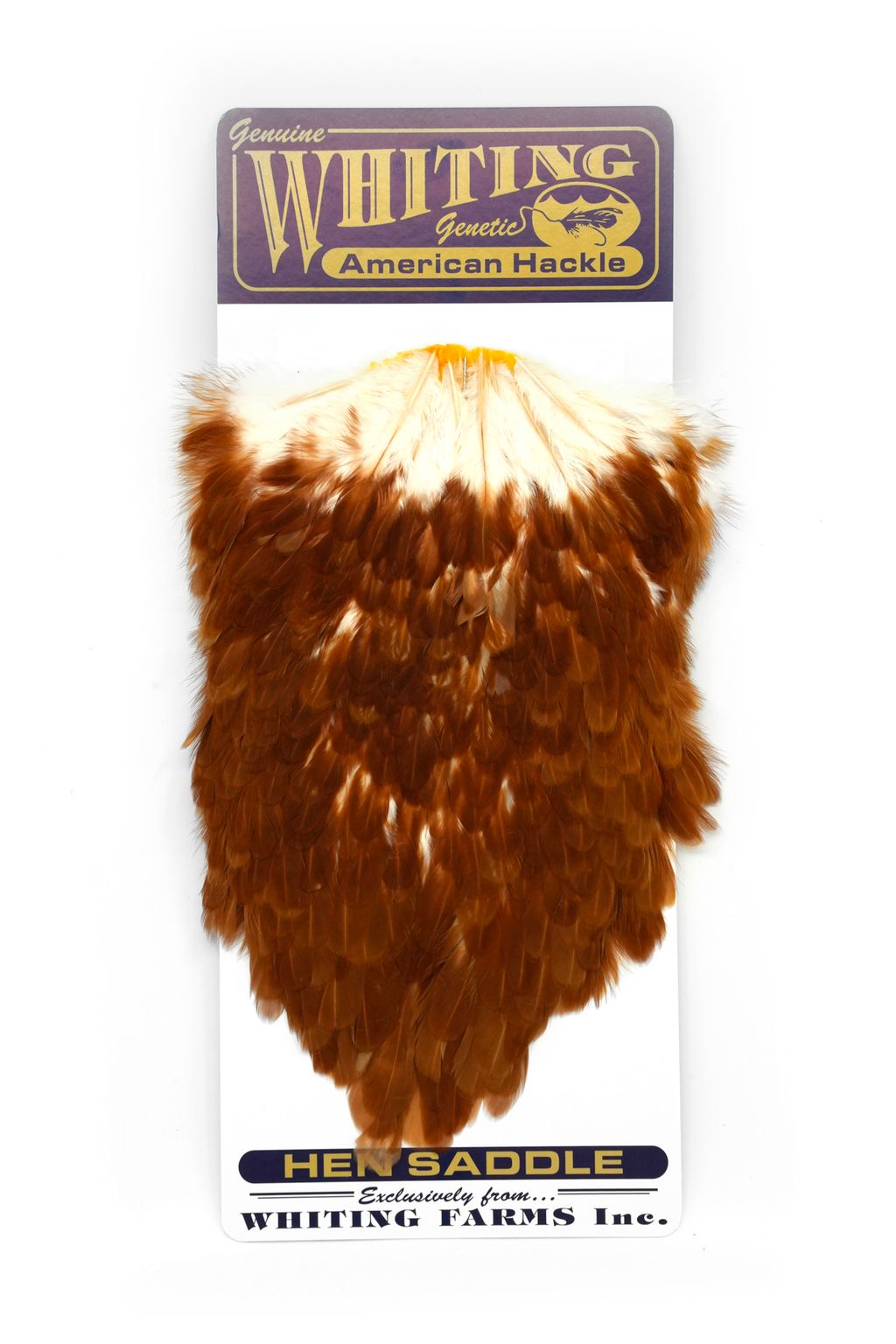 Whiting - American Hen Saddle