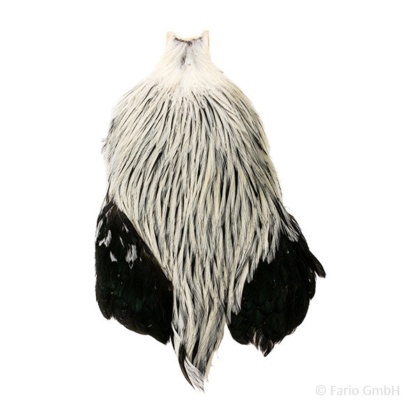 American Rooster Cape