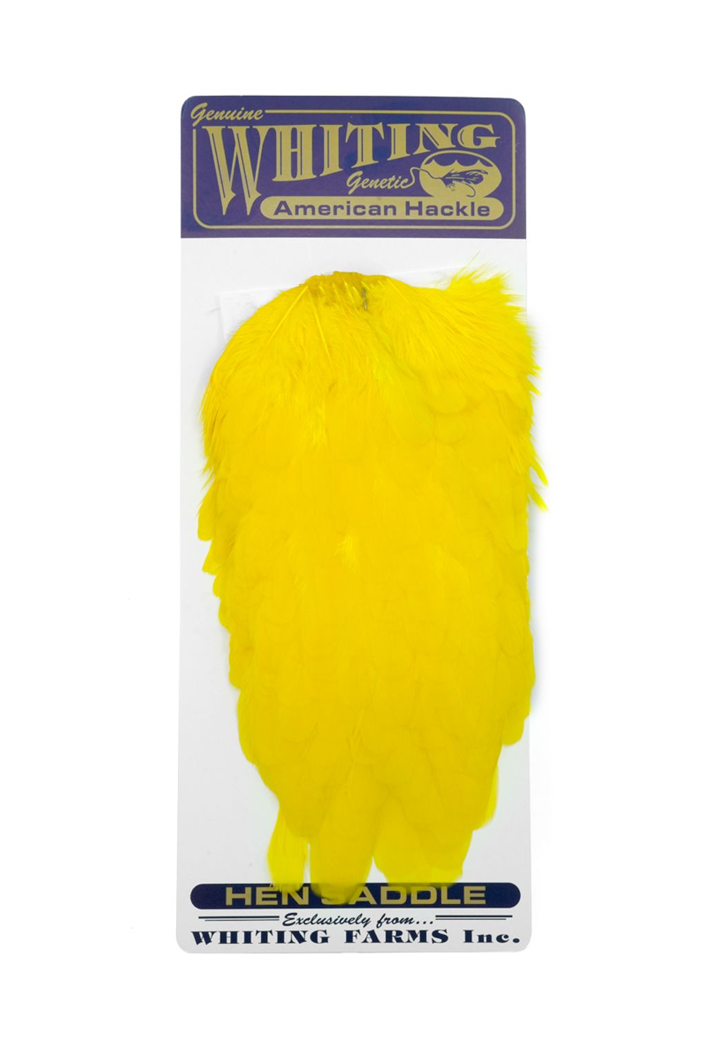 Whiting - American Hen Saddle