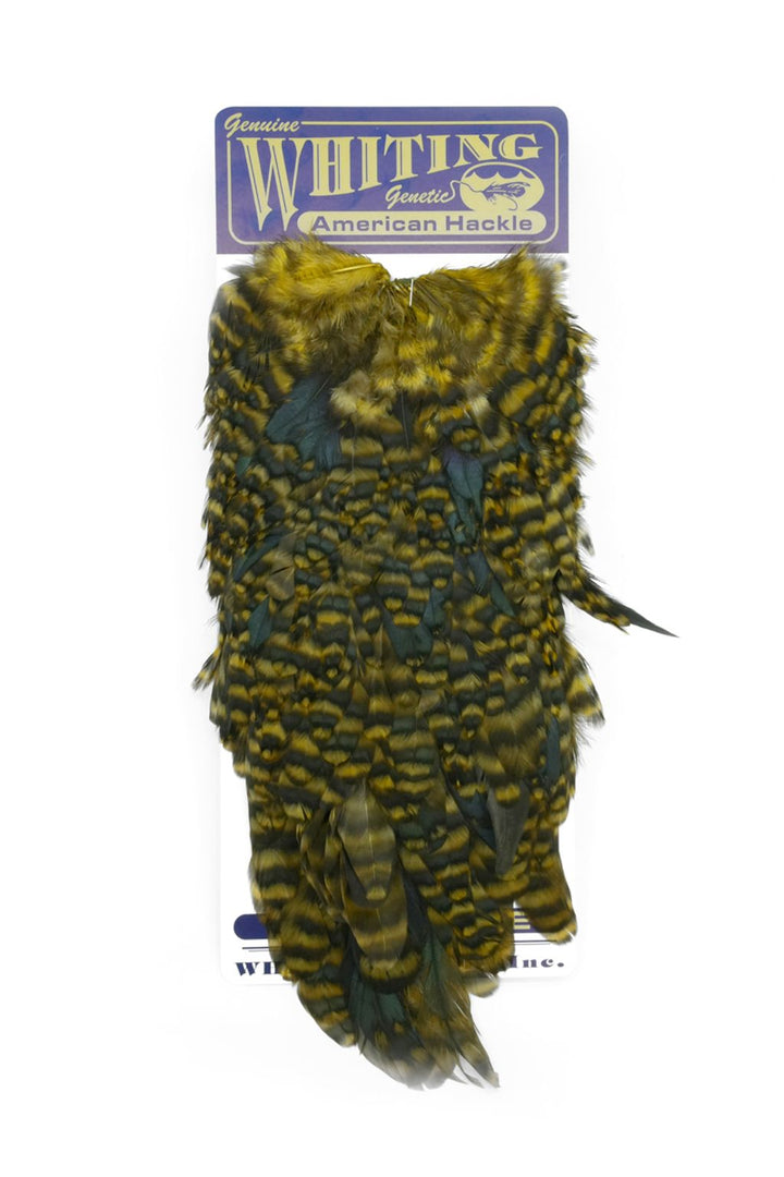 Whiting - American Hen Saddle