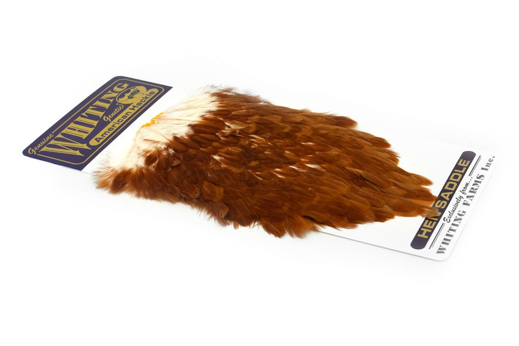 Whiting - American Hen Saddle
