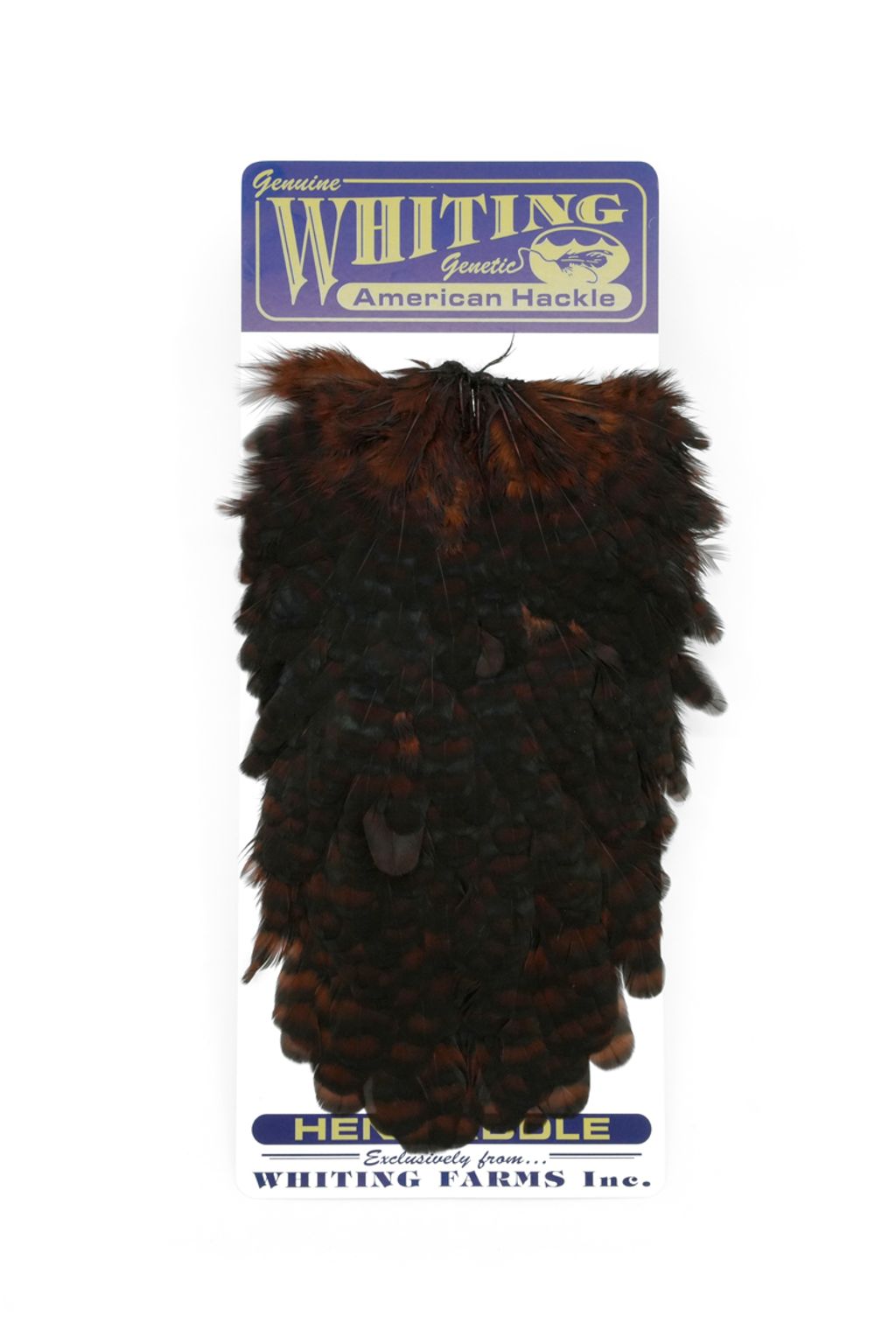 Whiting - American Hen Saddle