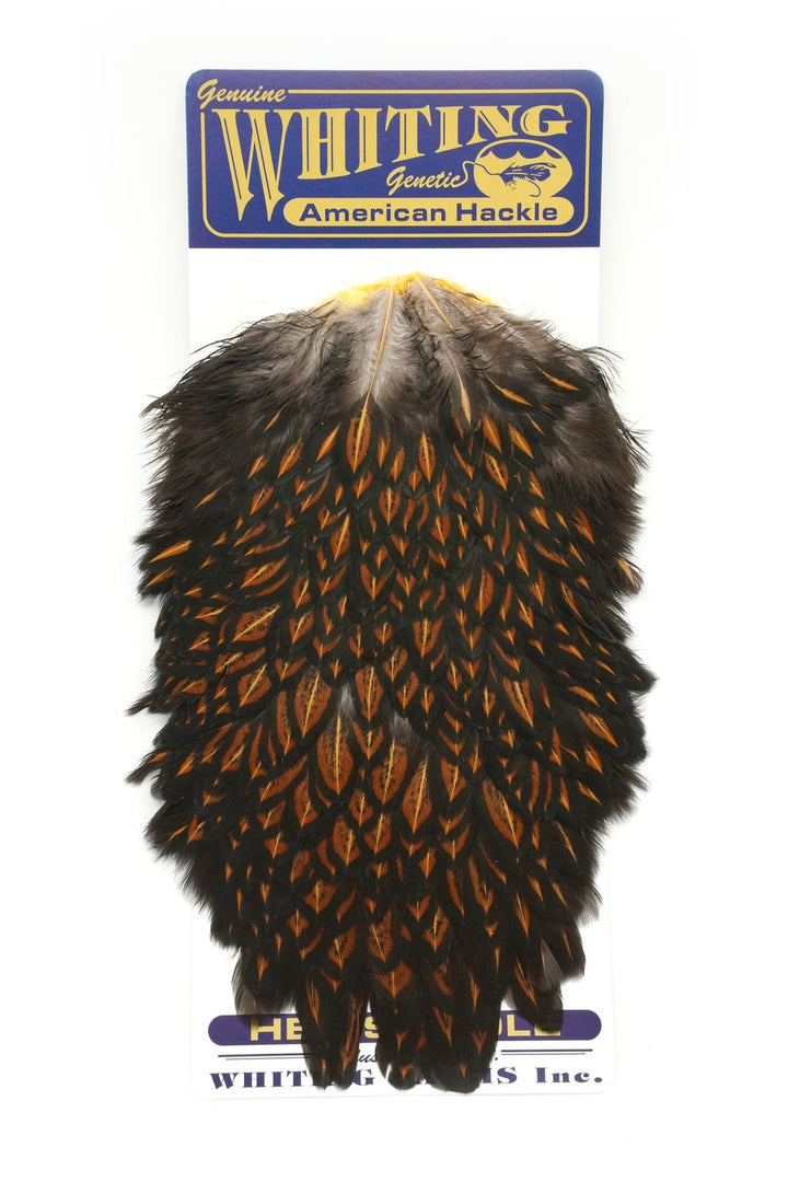 Whiting - American Hen Saddle