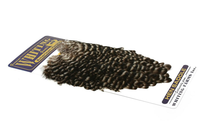 Whiting - American Hen Saddle