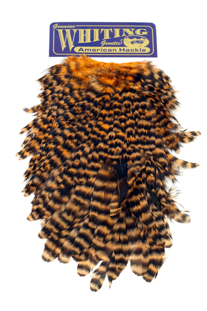 Whiting - American Hen Saddle