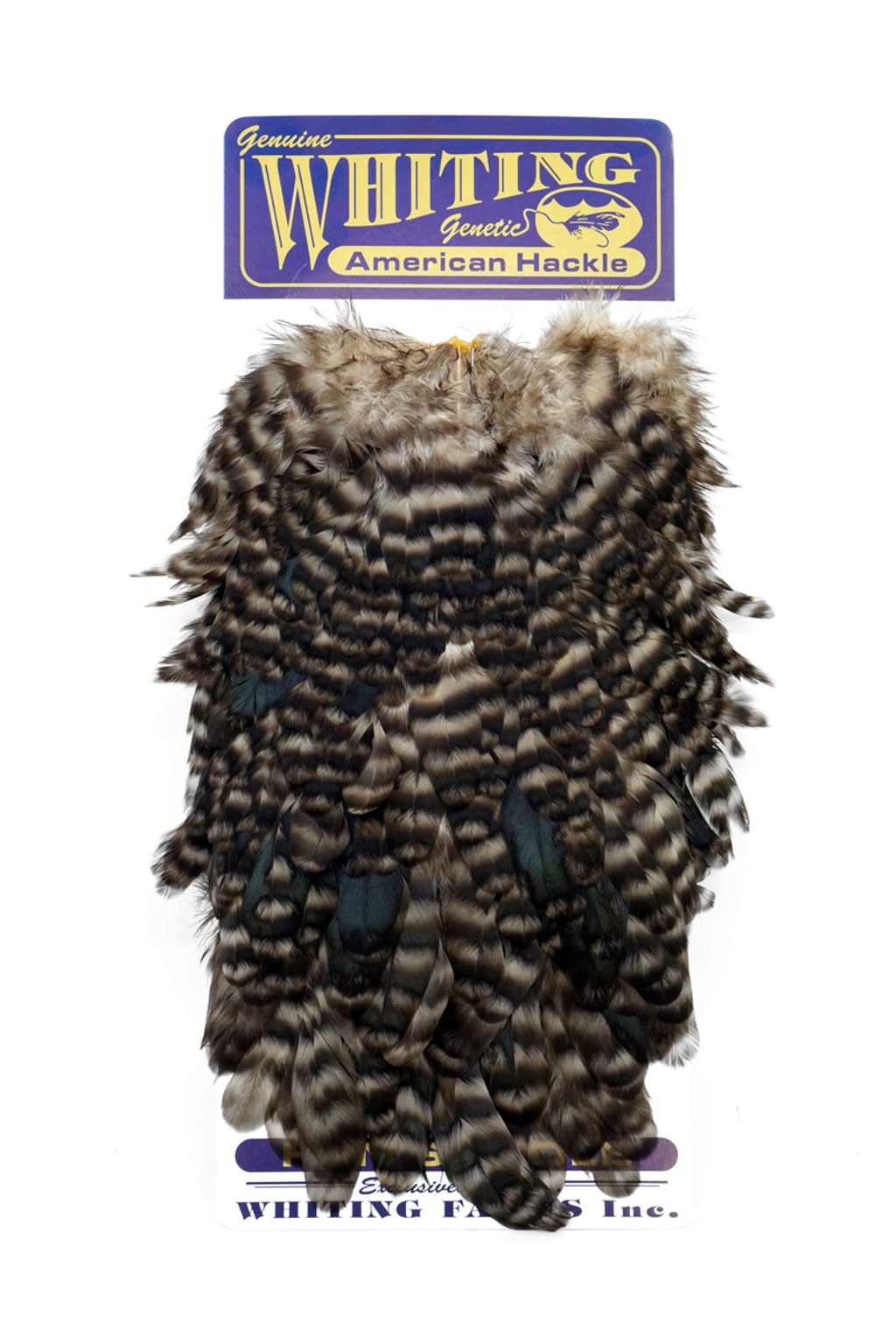 Whiting - American Hen Saddle