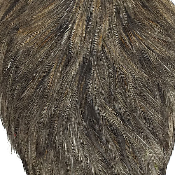 American Rooster Cape