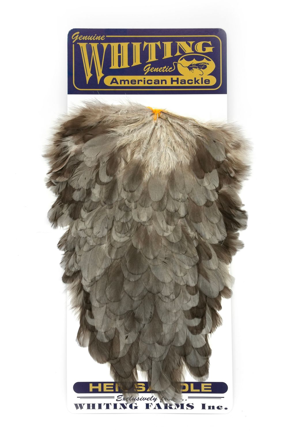 Whiting - American Hen Saddle