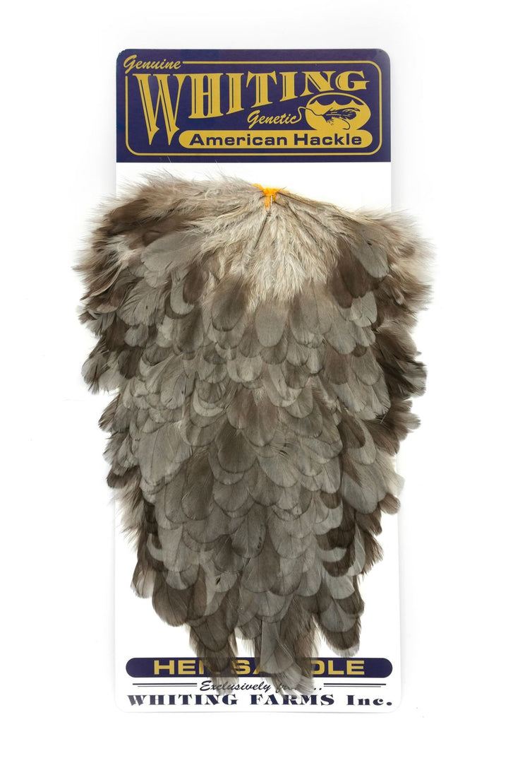 Whiting - American Hen Saddle