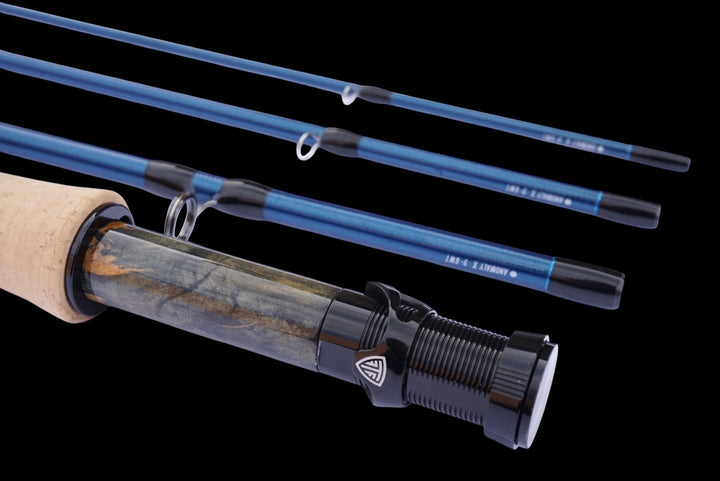 Taylor Anomaly X Rods