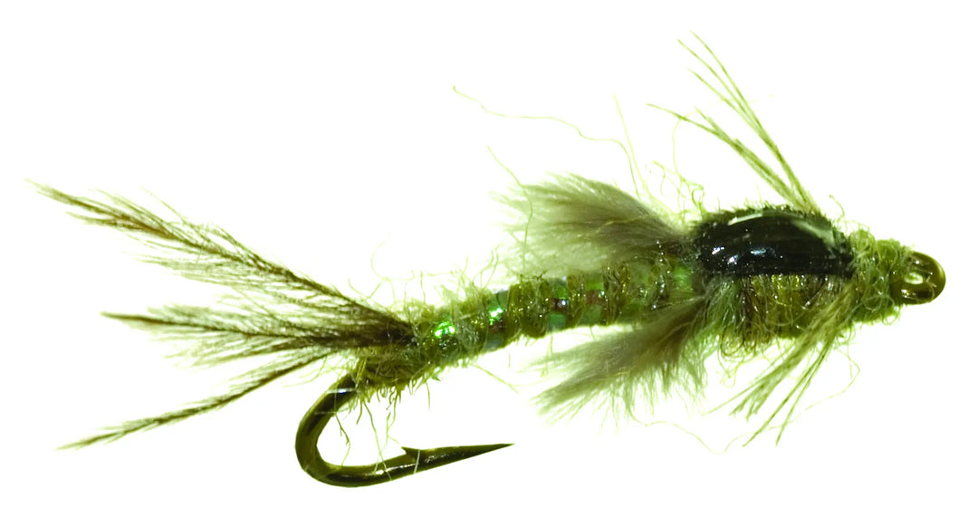 Umpqua Poxyback Callibaetis Mercer – Nymphe