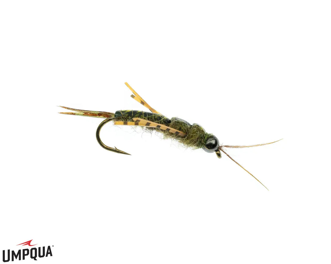 Umpqua Skwala Stone Tungsten – Nymphe