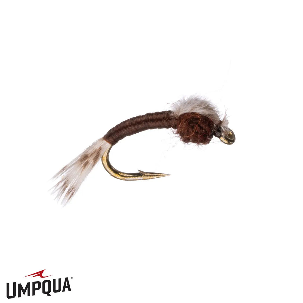 Umpqua WD 40 – Choco