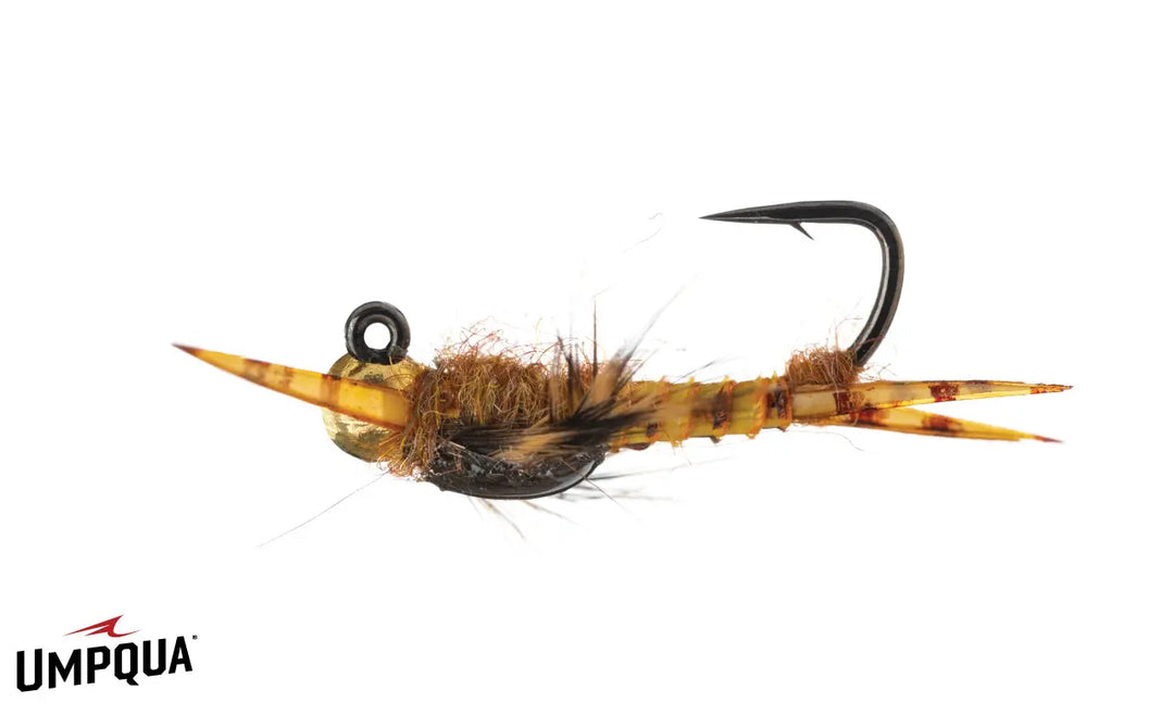 Umpqua Biot Epoxy Stone Jig Tungsten Gold Bead Gold – Nymphe