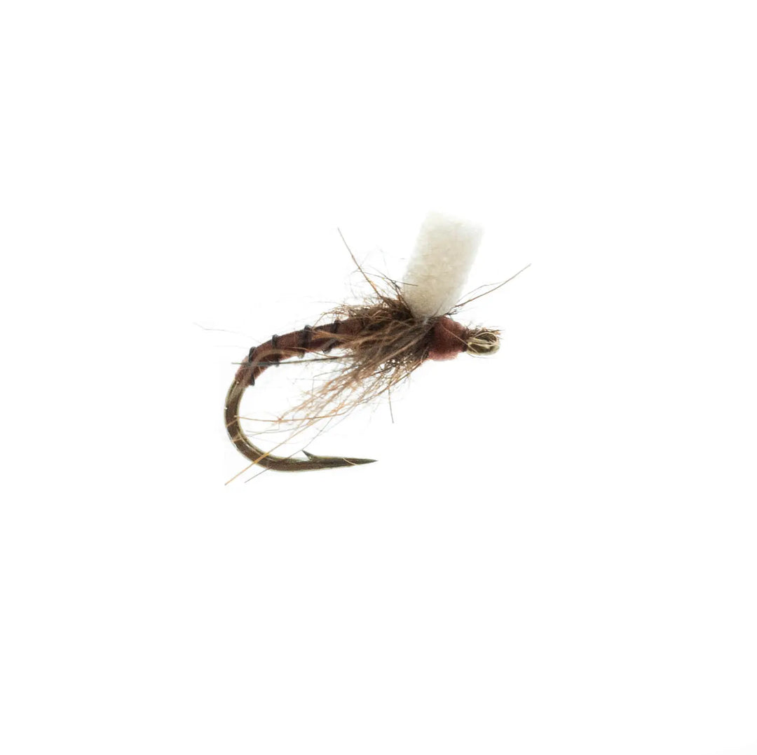Umpqua Massacre Midge Mccannel Brown – Nymphe