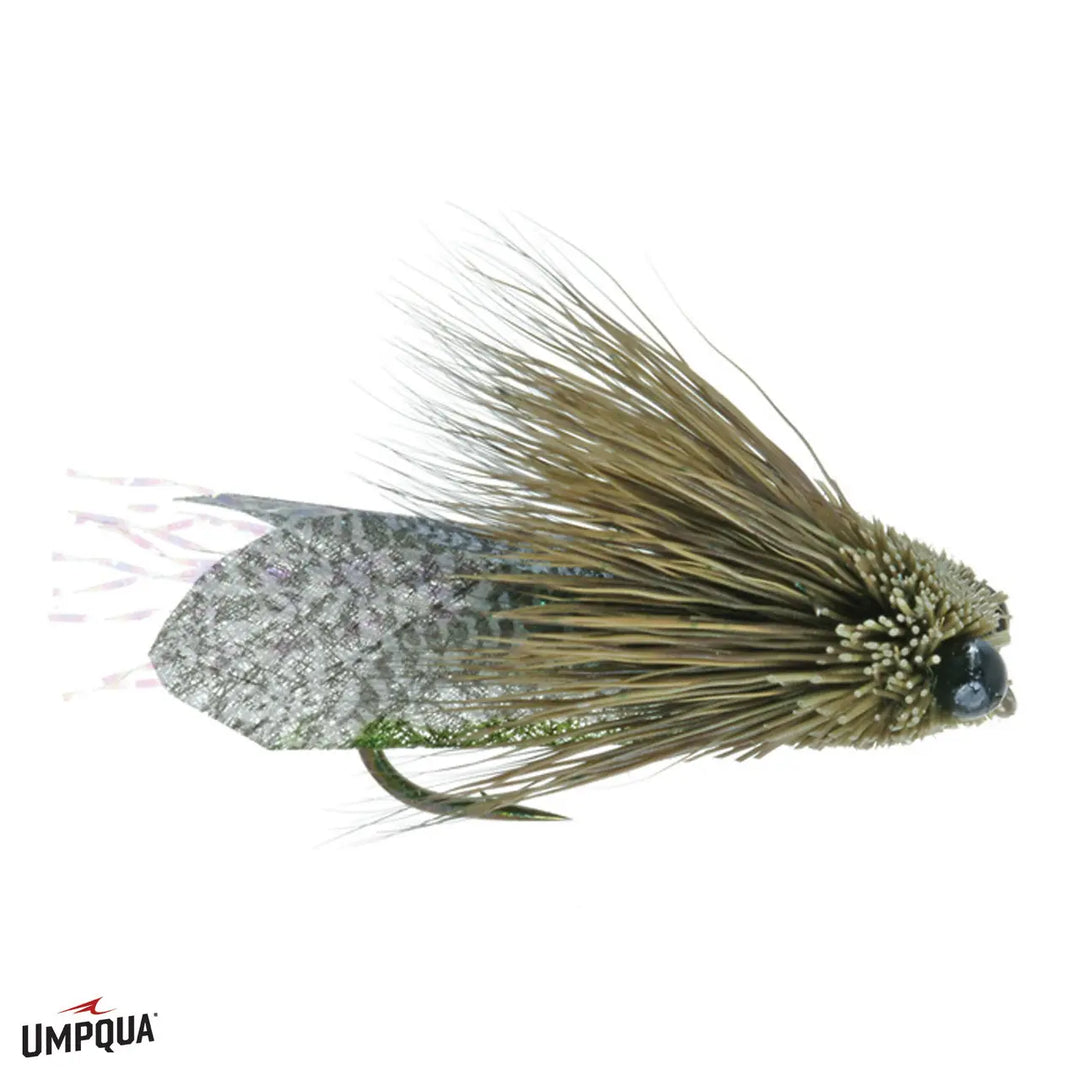 Umpqua Clark’s Cicada Olive – Trockenfliege