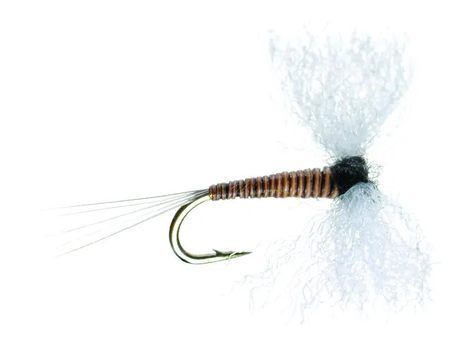 Umpqua Trico Poly Spinner – Männchen