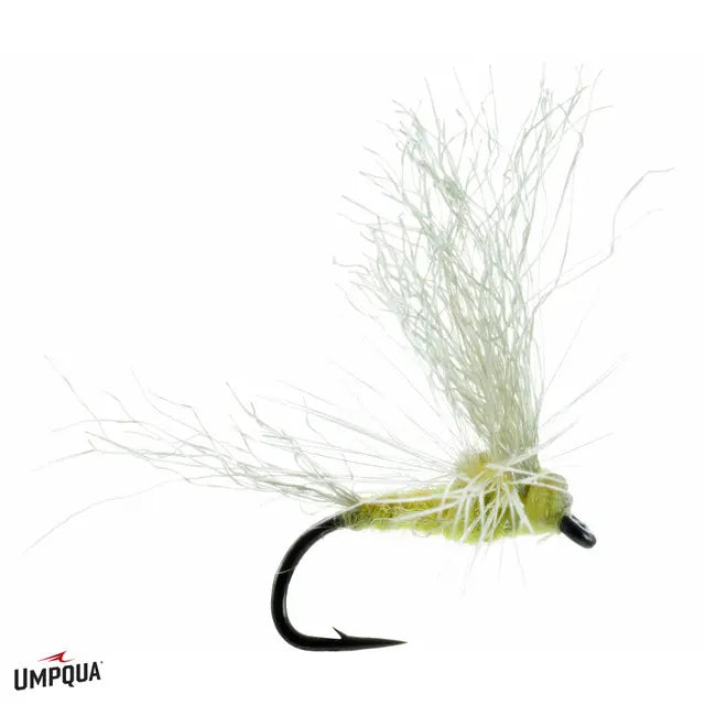 Umpqua May Day – PMD / 19