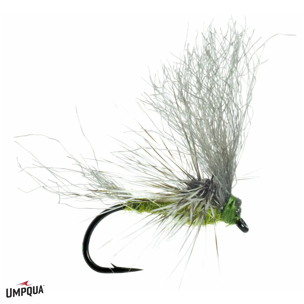 Umpqua May Day – BWO