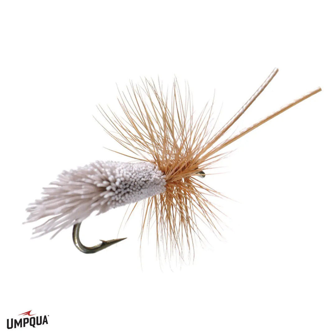 Umpqua Goddard Caddis – Trockenfliege