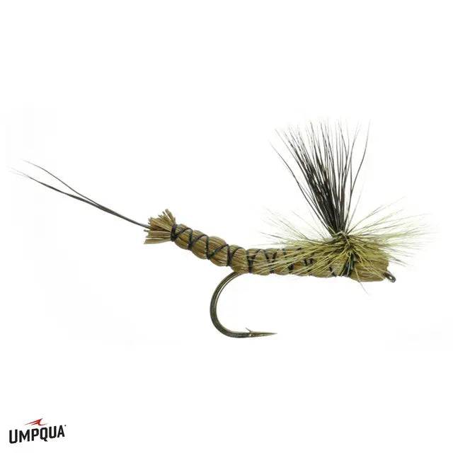 Umpqua Green Drake Paradrake – Trockenfliege