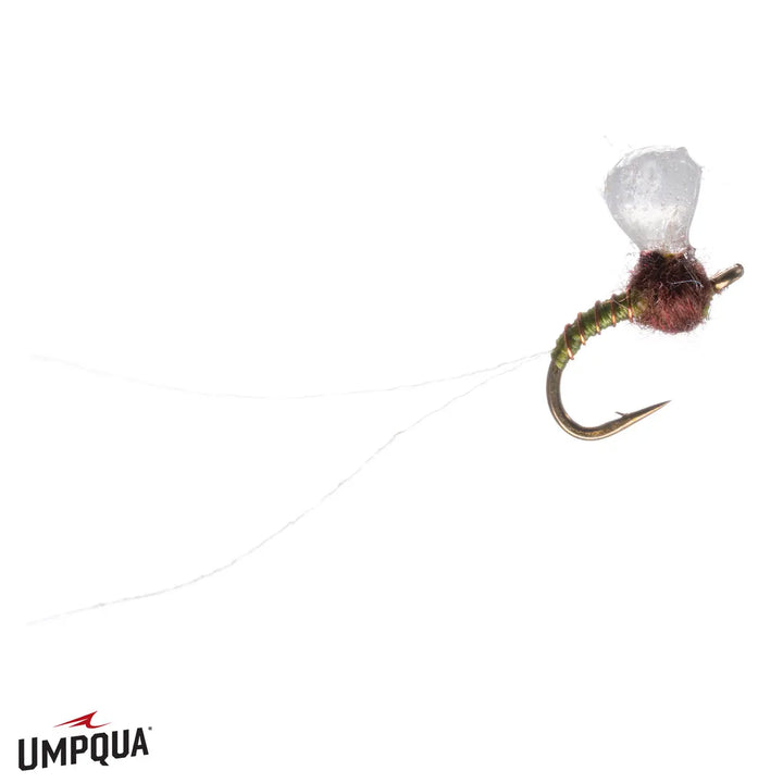Umpqua Barrick’s Bubble – BWO / 22