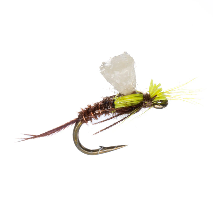 Umpqua Barrick’s Bubble – PMD