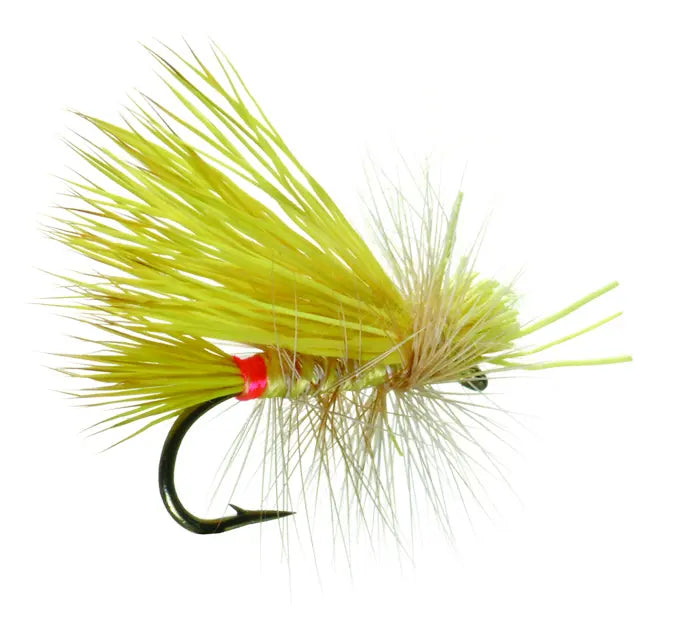 Umpqua Little Yellow Stone Female 14 – Trockenfliege