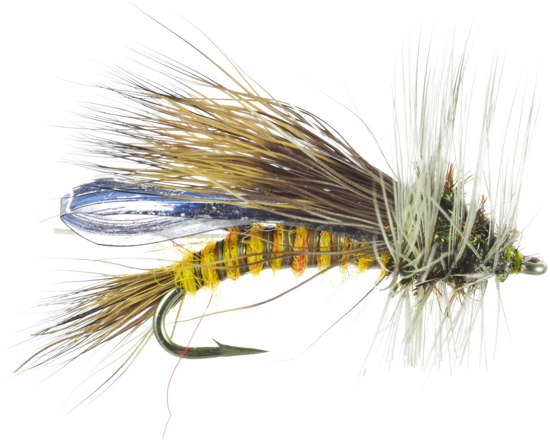 Umpqua Little Olive Stone Skwala 12 – Trockenfliege