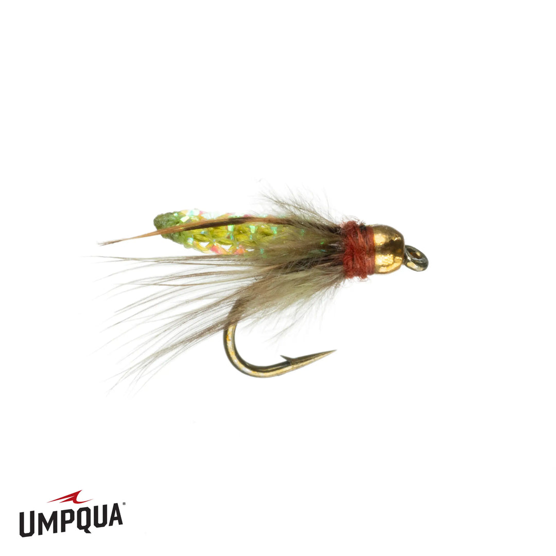 Umpqua Pupa BH – 