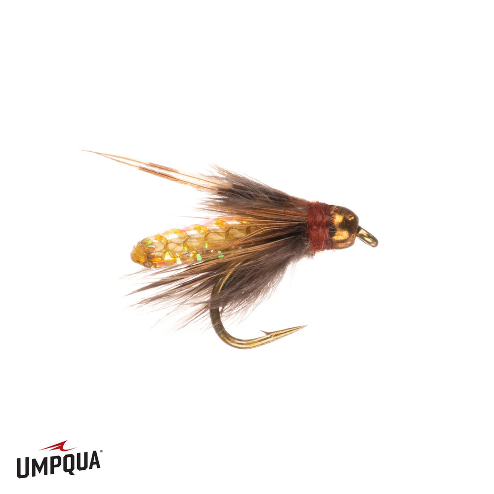 Umpqua Pupa BH – 