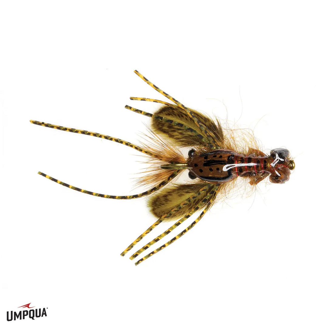 Umpqua Creek Crawler Dirty Hada’s – Olive