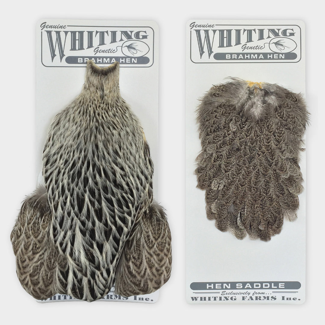 Whiting Brahma Hen Capes