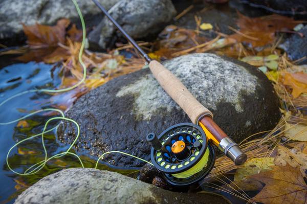 Tyro Fly Reels